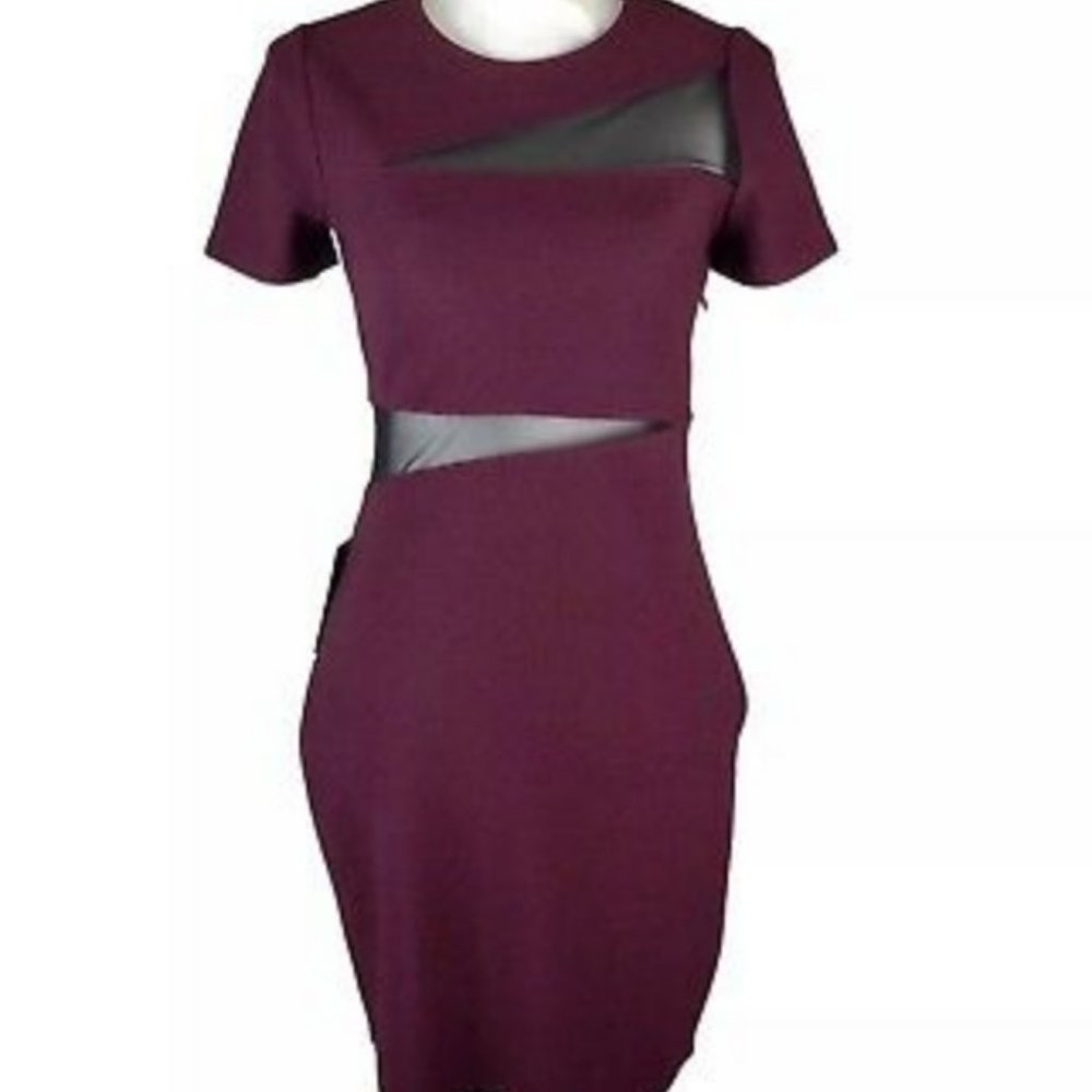 EXPRESS Bodycon Short Sleeve Dress with Mesh